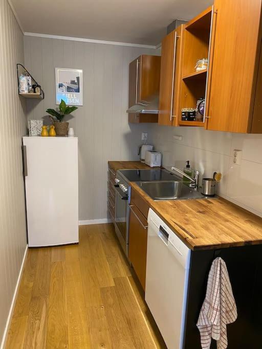 Aurora Apartment Very Close To Cable Car And Sherpatrappa ترومسو المظهر الخارجي الصورة