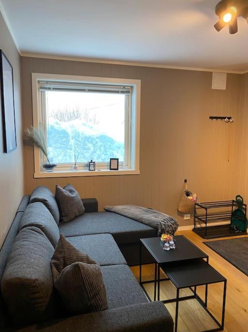 Aurora Apartment Very Close To Cable Car And Sherpatrappa ترومسو المظهر الخارجي الصورة